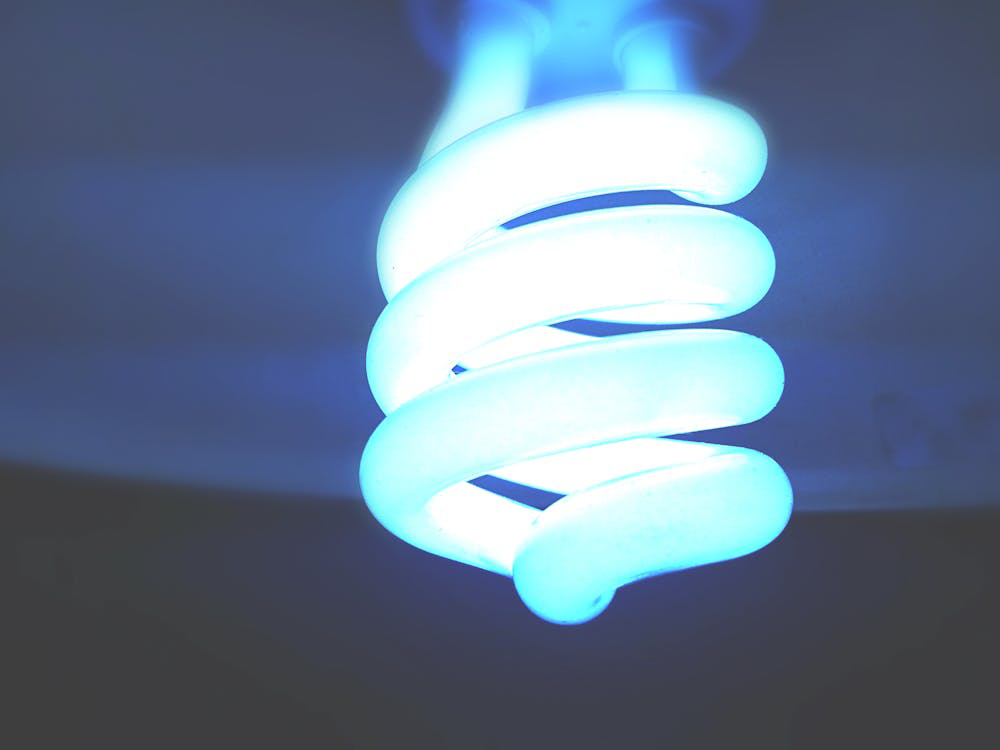 A bulb.